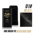 2 in 1 Water And Sweat Proof Hair Comb Dye (Limted Stock)